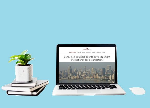 Site web de Hermesyn, conseil en stratégie pour le développement international des organisations