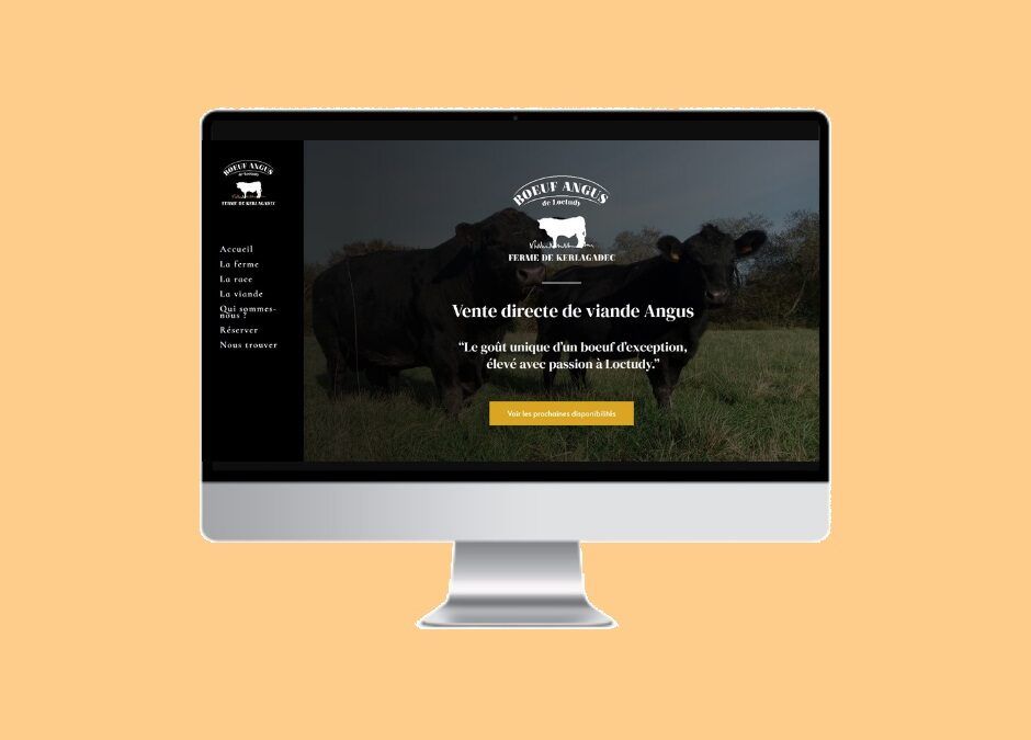 Réalisation du site vitrine angusdeloctudy.bzh