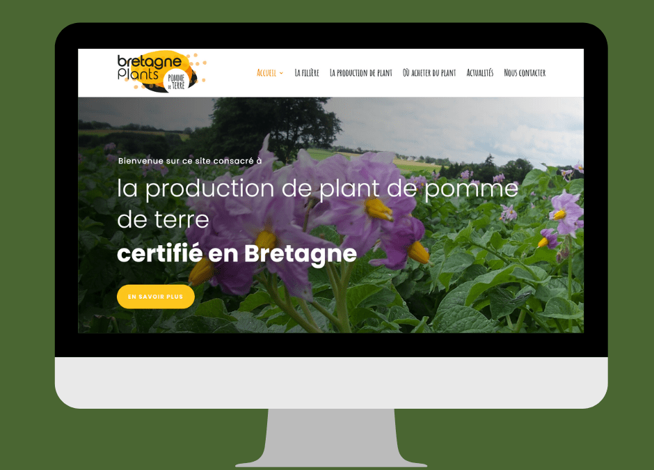 Refonte du site internet de Bretagne Plants à Hanvec