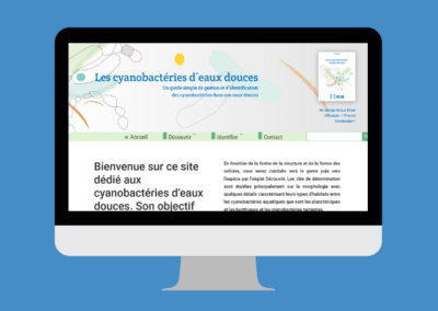 Réalisation d’un site web « Guide des cyanobactéries d’eaux douces »