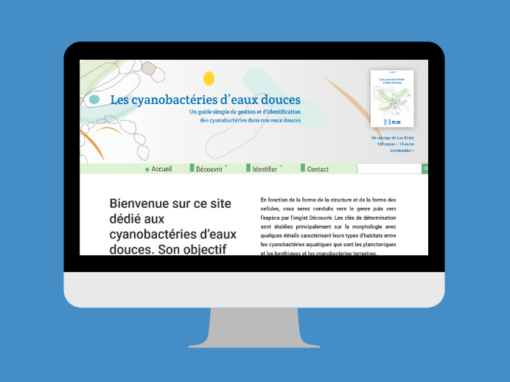 Réalisation d’un site web « Guide des cyanobactéries d’eaux douces »