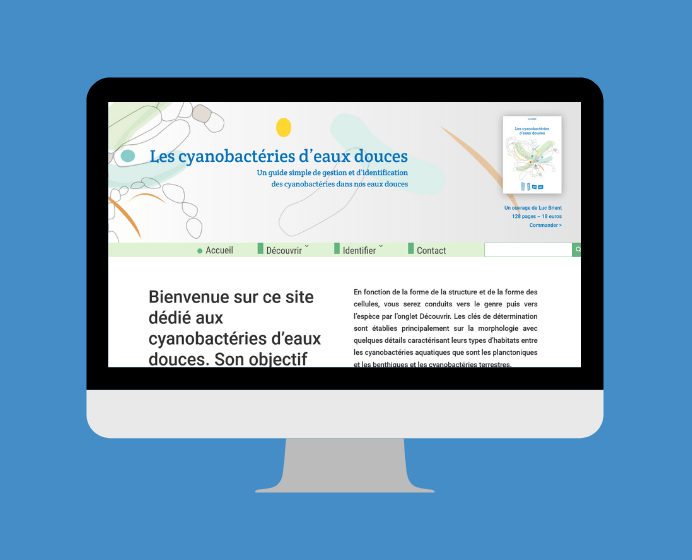 Mockup Les cyanobacteries d eaux douces