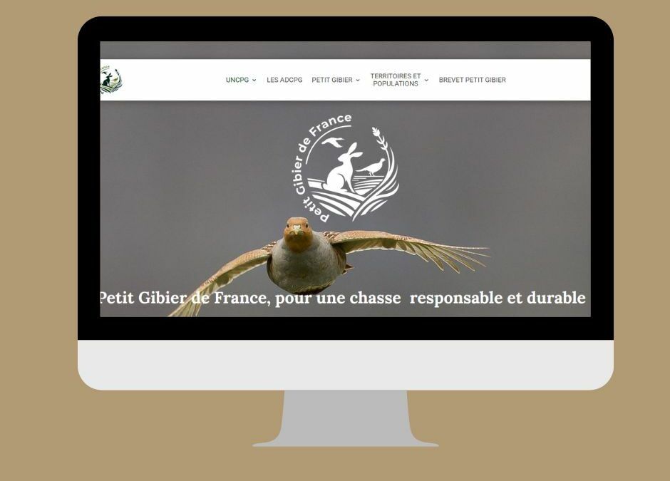 Création du site web de l&rsquo;UNCPG