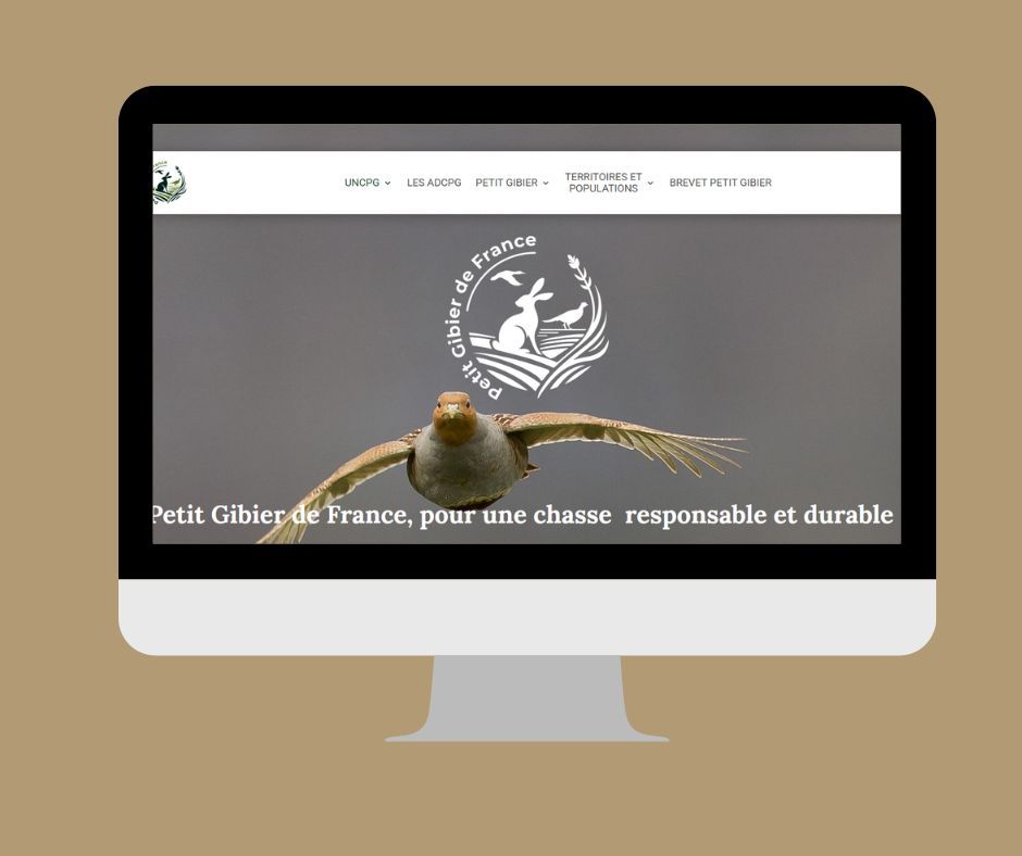 Mockup petitgibierdefrance