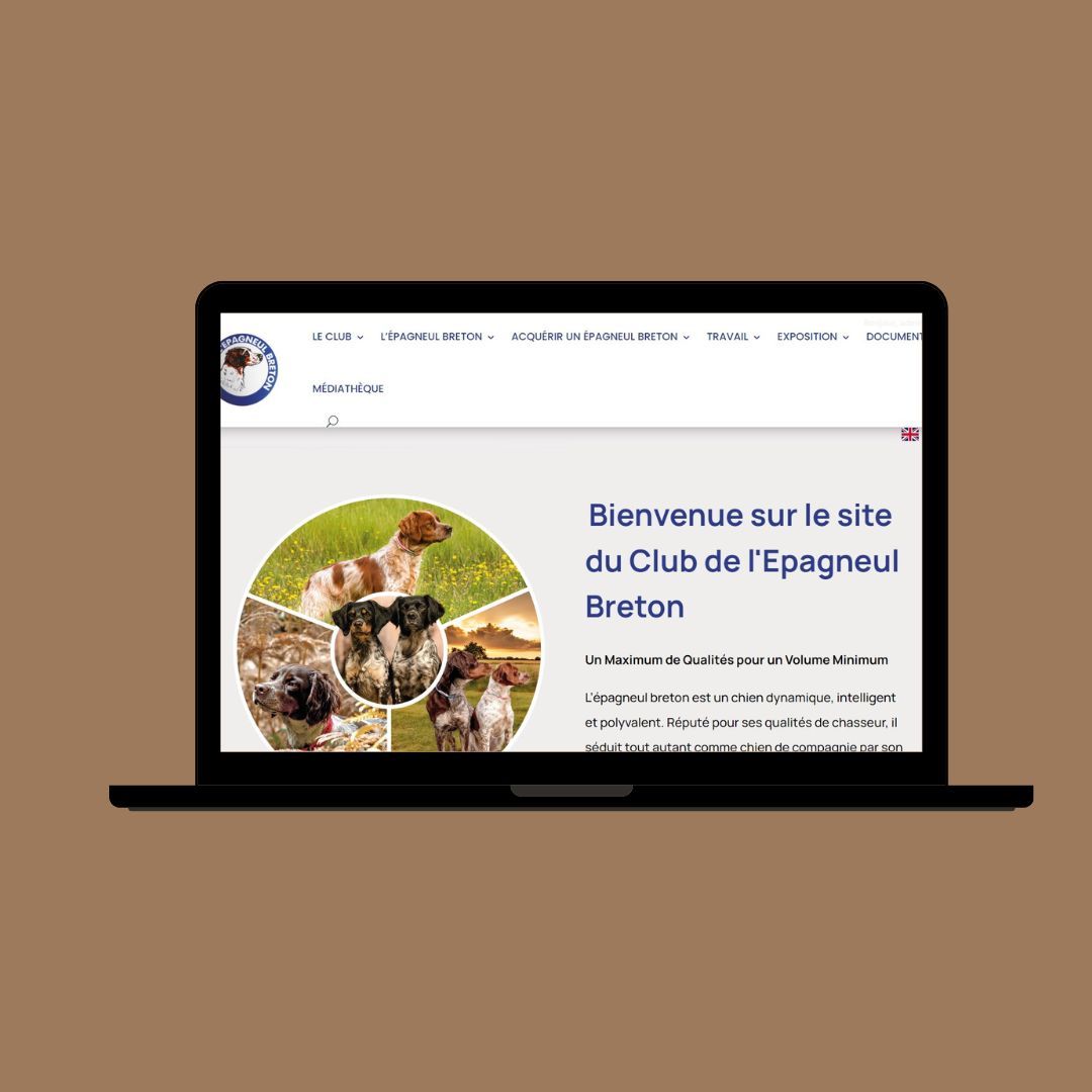 Mockup Club Epagneul Breton